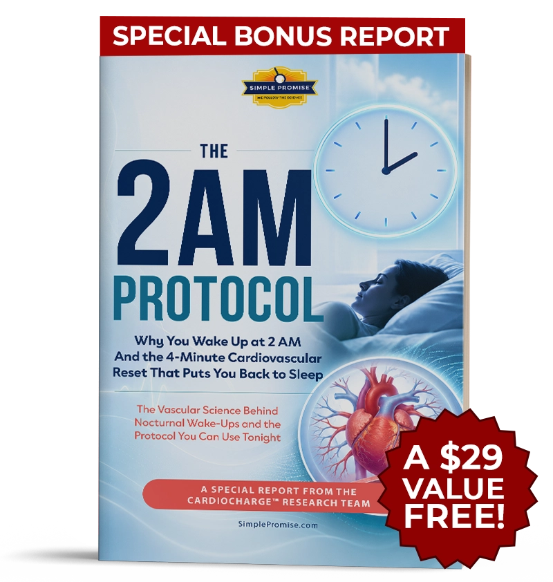 The 2 AM Protocol digital guide