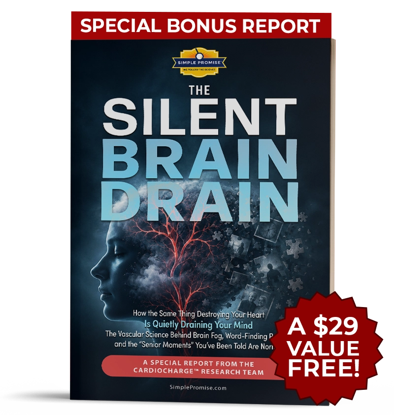 The Silent Brain Drain digital guide